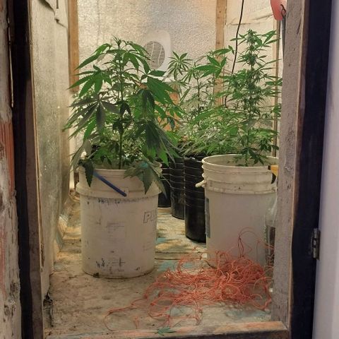 Dream Team growlog timeline photo