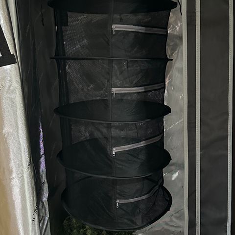 RQS Epsilon F1  #1 growlog timeline photo