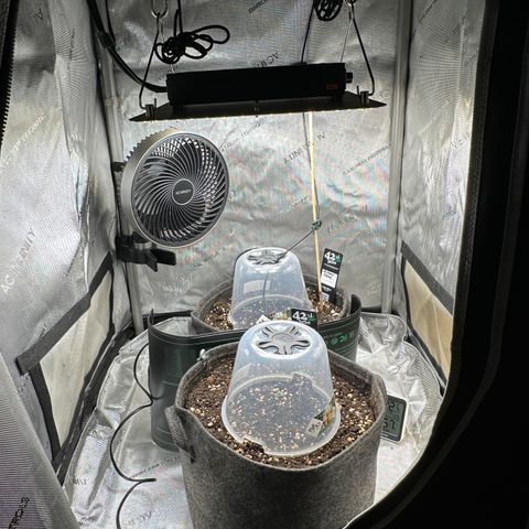 RQS Epsilon F1  #1 growlog timeline photo