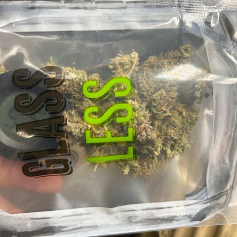 Sherbet Queen Automatic growlog timeline photo
