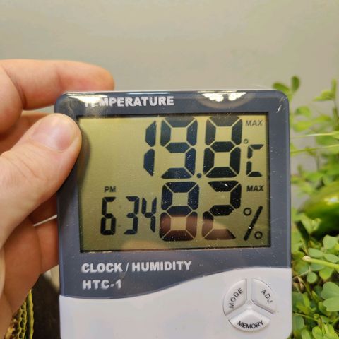 Banana Candy Krush growlog timeline photo