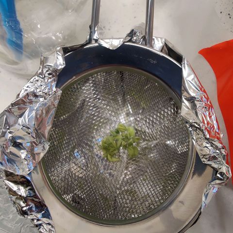 Banana Candy Krush growlog timeline photo