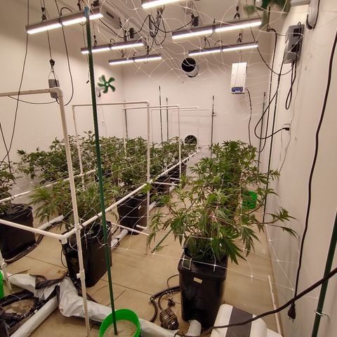 Solo growlog timeline photo