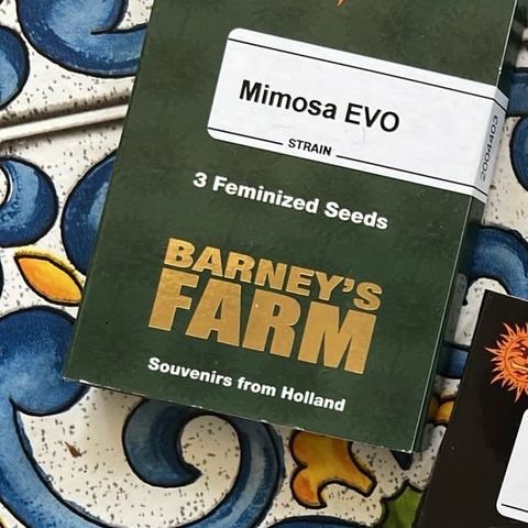 Mimosa Evo growlog timeline photo