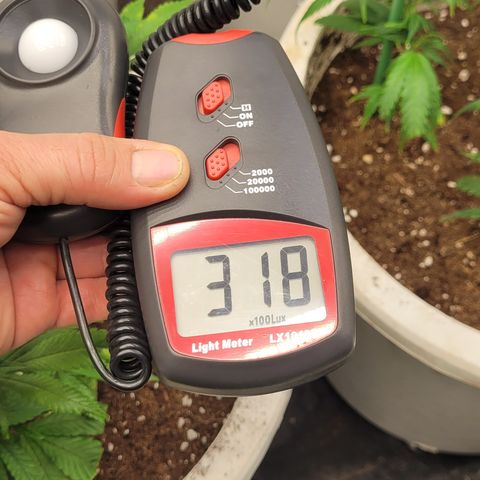 Matanuska Thunderfuck  growlog timeline photo