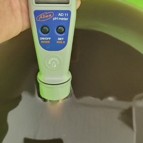 Amnesia Hi Pro growlog timeline photo