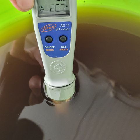 Matanuska Thunderfuck  growlog timeline photo