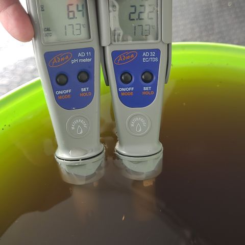 Amnesia Hi Pro growlog timeline photo