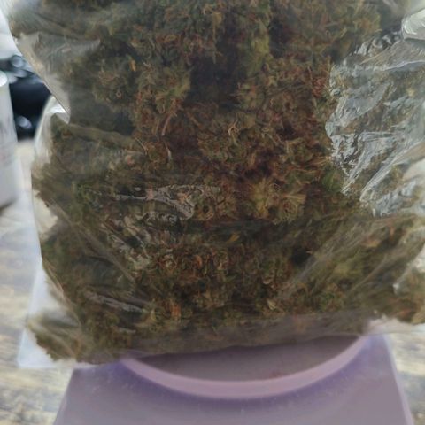 Flacher roter Brei growlog timeline photo