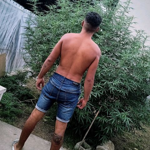 Genética desconocida growlog in Exterior