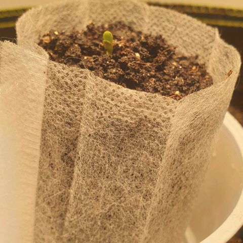Дунька growlog photo: Дунька без каски, зелёные глазки