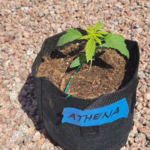 GREAT UNKNOWN  growlog photo: Outdoor mystery 