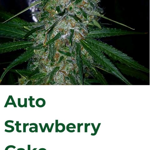 Strawberry cake auto growlog photo: Lil bit of data about em