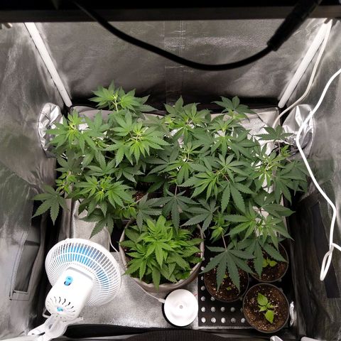 Inzane | Nepal growlog timeline photo