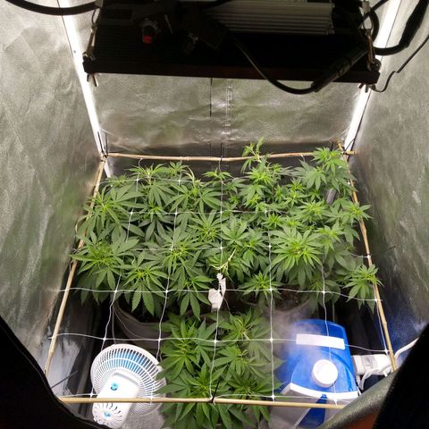Inzane | Nepal growlog photo: Screen installed,trmed