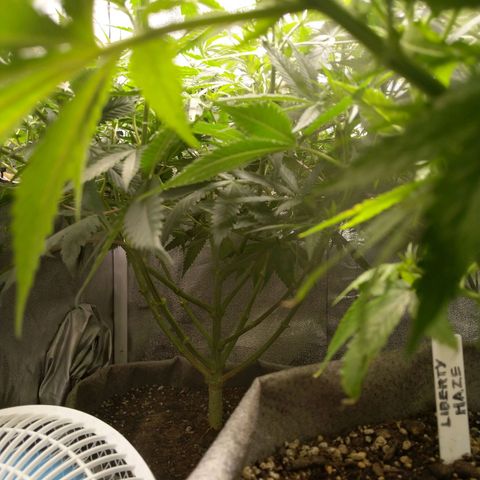 Inzane | Nepal growlog timeline photo