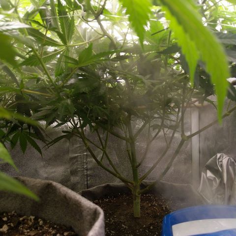 Inzane | Nepal growlog timeline photo