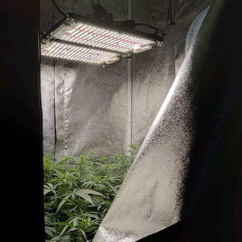 Inzane | Nepal growlog timeline photo