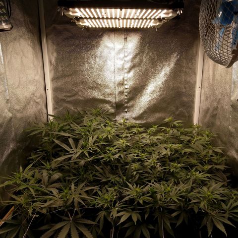 Inzane | Nepal growlog timeline photo