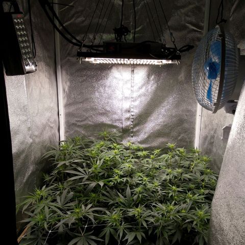 Inzane | Nepal growlog photo: Lights on,the stretch is real