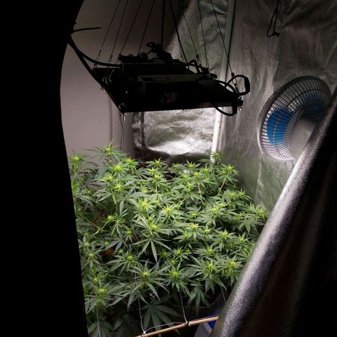 Inzane | Nepal growlog timeline photo