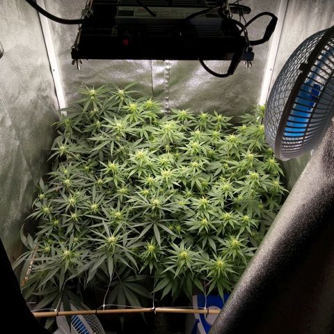 Inzane | Nepal growlog timeline photo