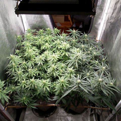 Inzane | Nepal growlog timeline photo