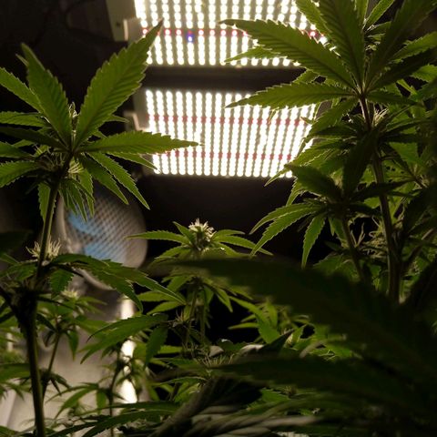 Inzane | Nepal growlog timeline photo