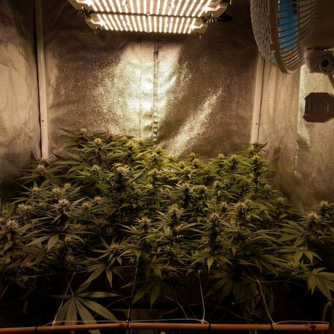 Inzane | Nepal growlog timeline photo