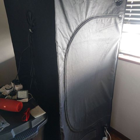 Inzane | Nepal growlog photo: Negative pressure af,fed before lights out,new inline fan making them drink more than previous