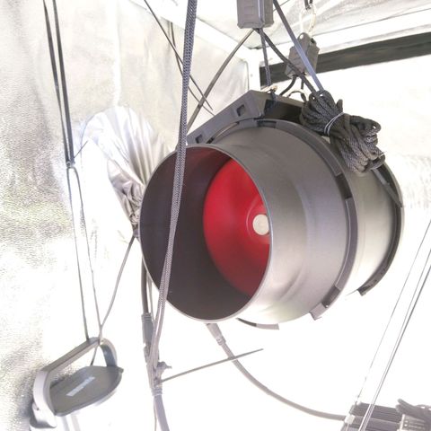 Inzane | Nepal growlog photo: Negative pressure af,fed before lights out,new inline fan making them drink more than previous