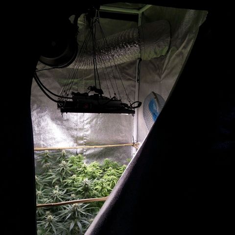 Inzane | Nepal growlog timeline photo