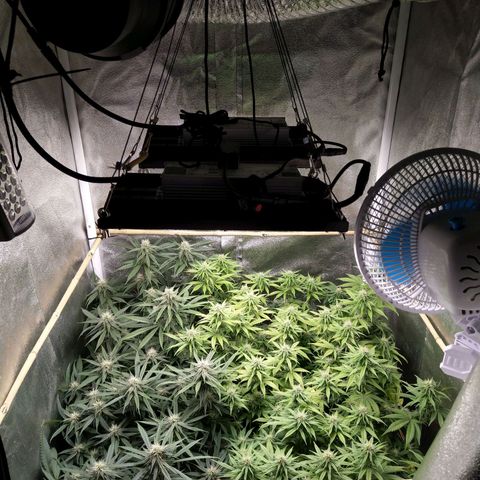 Inzane | Nepal growlog timeline photo
