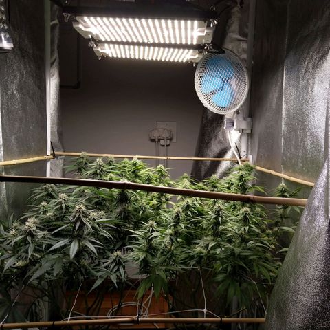 Inzane | Nepal growlog timeline photo