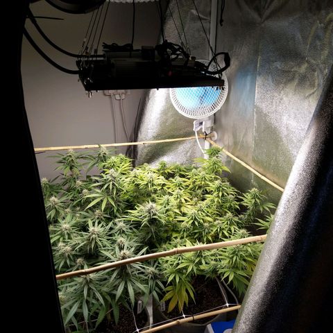 Inzane | Nepal growlog timeline photo