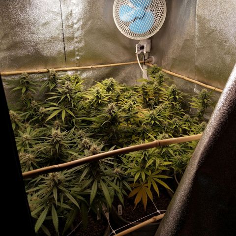Inzane | Nepal growlog timeline photo