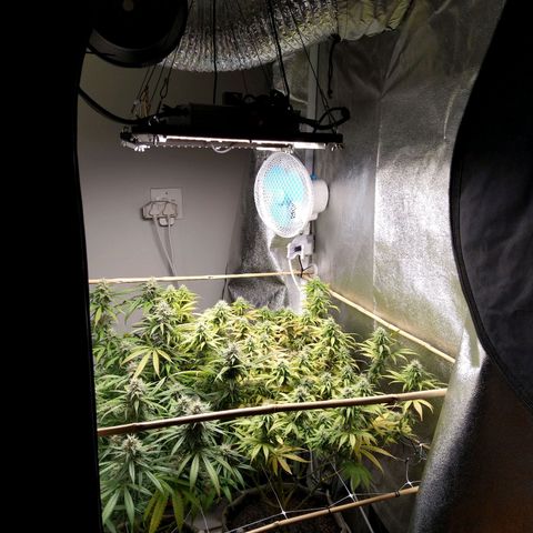 Inzane | Nepal growlog timeline photo