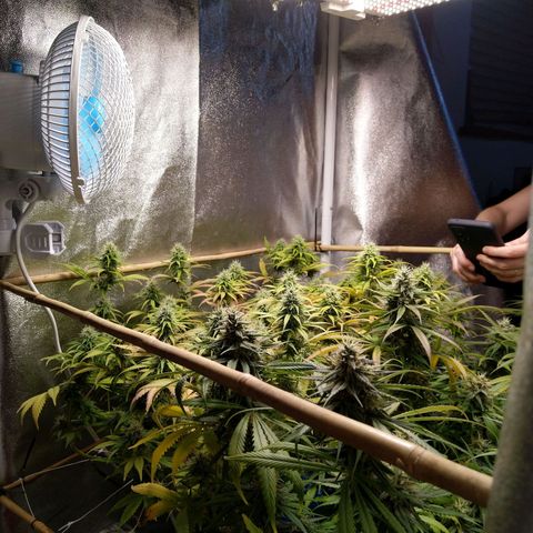 Inzane | Nepal growlog timeline photo