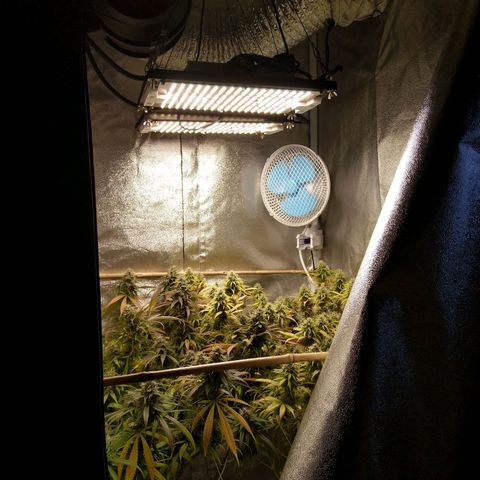 Inzane | Nepal growlog timeline photo