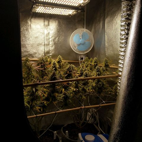Inzane | Nepal growlog timeline photo