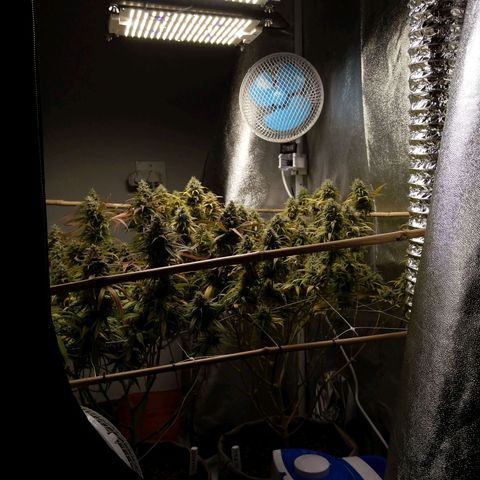 Inzane | Nepal growlog timeline photo