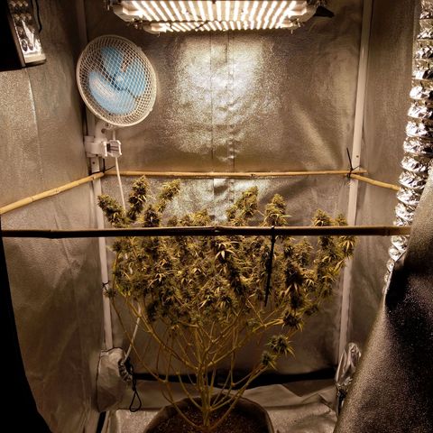 Inzane | Nepal growlog timeline photo