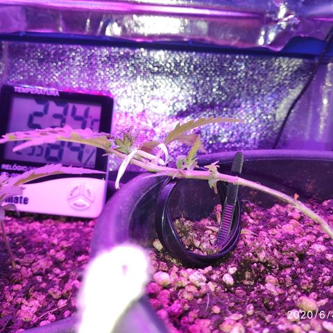 1 growlog timeline photo