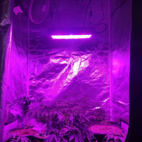 1 growlog timeline photo