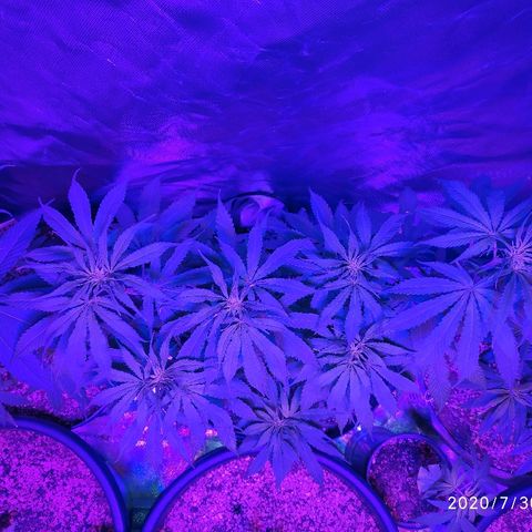 1 growlog timeline photo