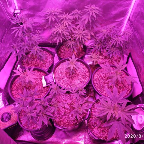 1 growlog timeline photo