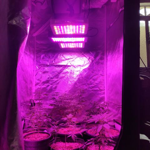 1 growlog timeline photo