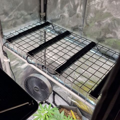 Do-Si-Dos Auto #1 growlog timeline photo