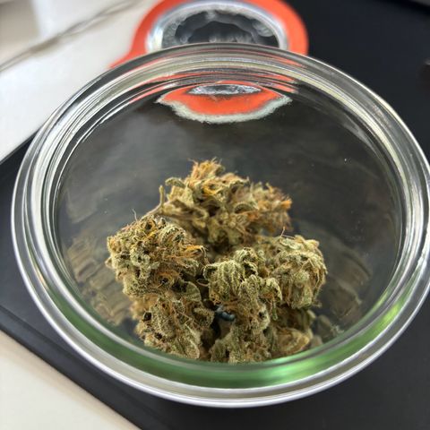 Wappa growlog timeline photo