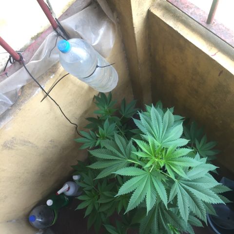 Whidak47[SXL141] growlog timeline photo